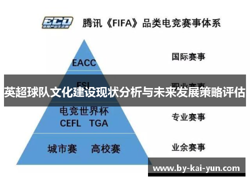 英超球队文化建设现状分析与未来发展策略评估