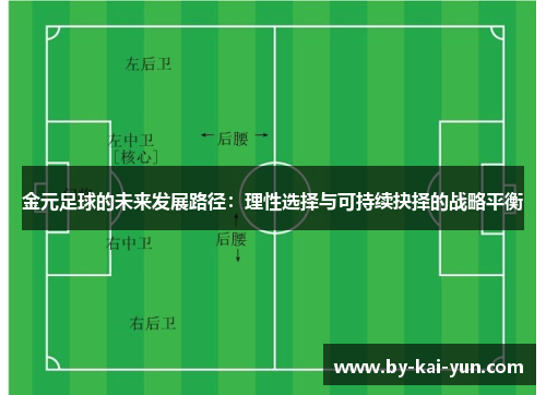 金元足球的未来发展路径：理性选择与可持续抉择的战略平衡