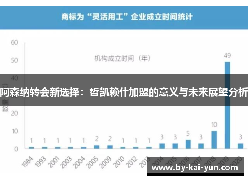 阿森纳转会新选择：哲凯赖什加盟的意义与未来展望分析